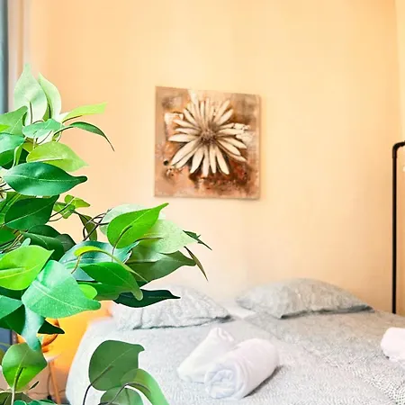 L'Abri Douillet Apartment Montauban Exterior photo